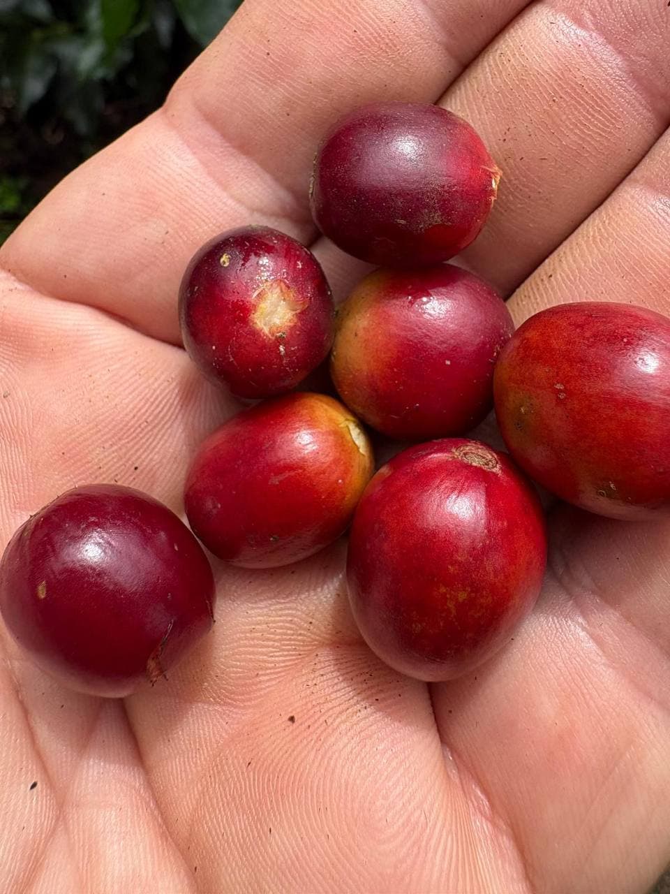 Natural processing stage