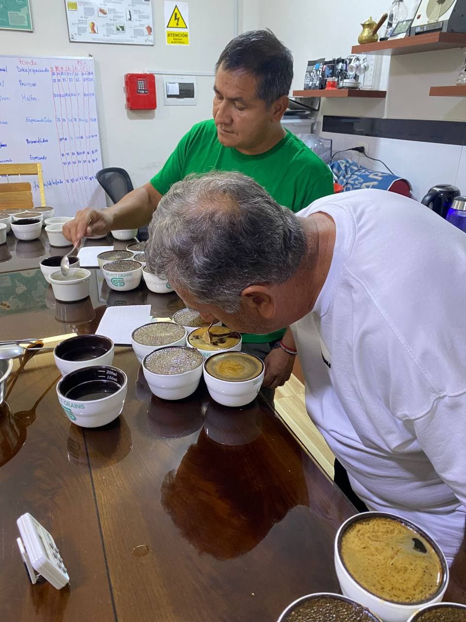 Cupping session in the laboratory